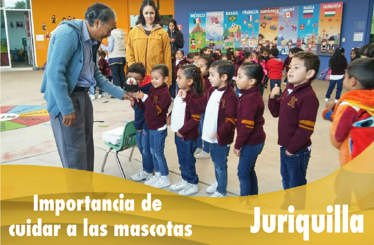 Importancia de cuidar a las mascotas